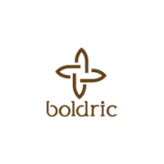 Boldric Logo